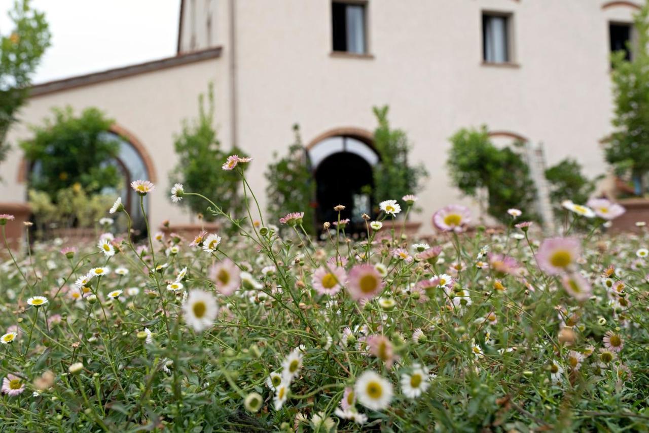 Paradis Agricole Pietrasanta Eksteriør billede