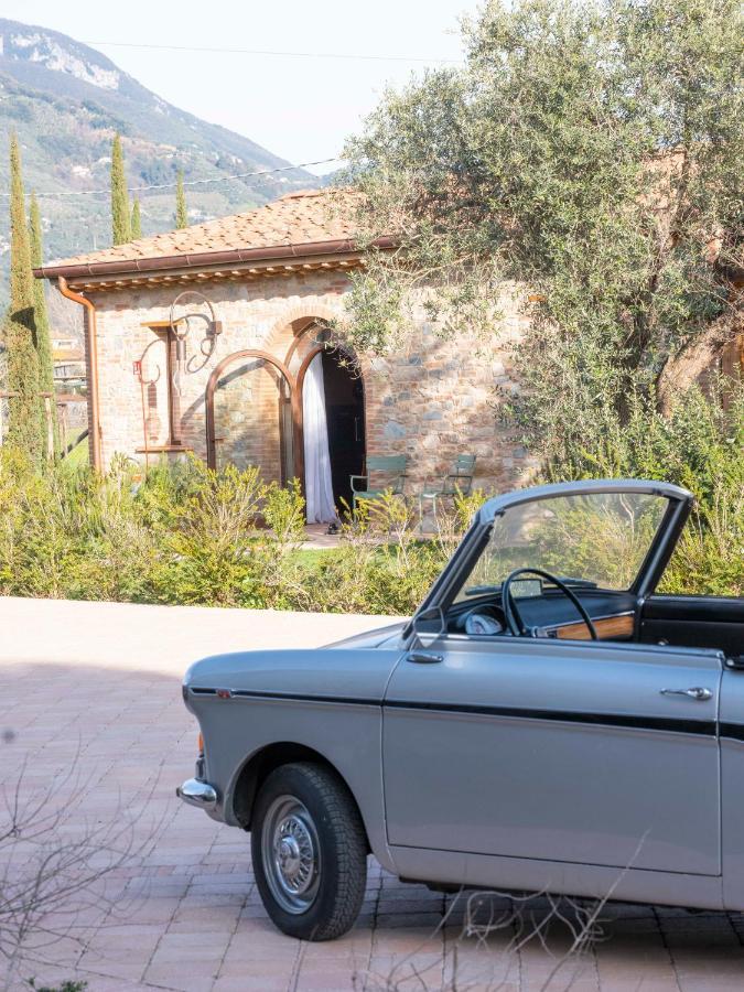 Paradis Agricole Pietrasanta Eksteriør billede