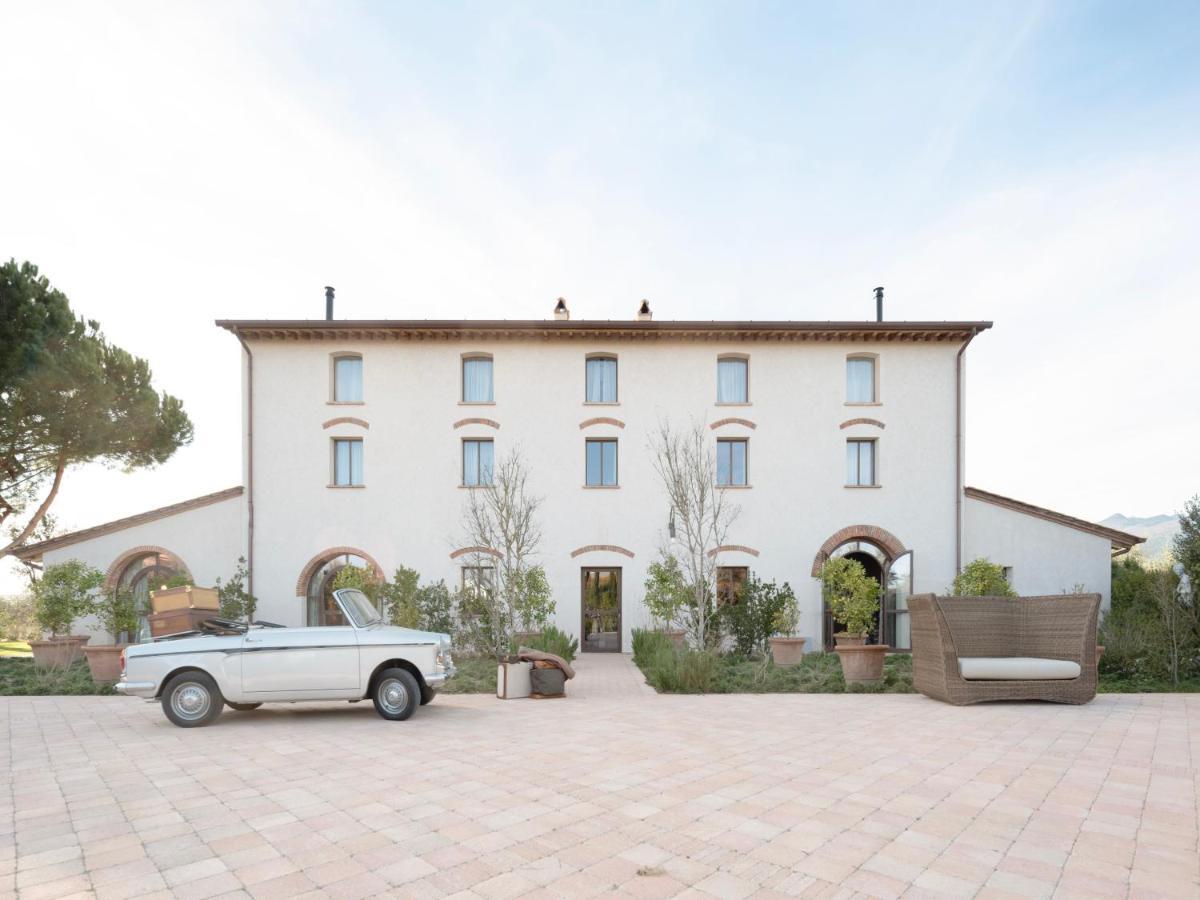 Paradis Agricole Pietrasanta Eksteriør billede