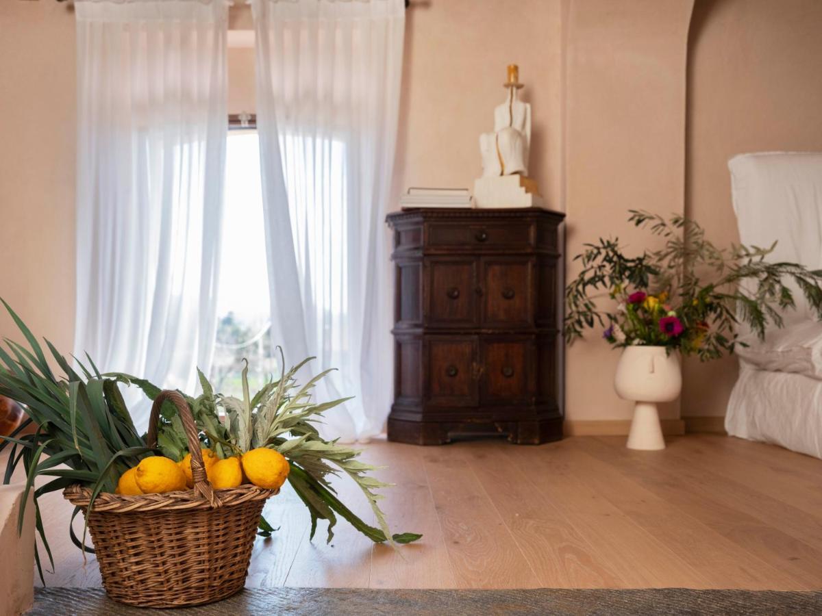 Paradis Agricole Pietrasanta Eksteriør billede